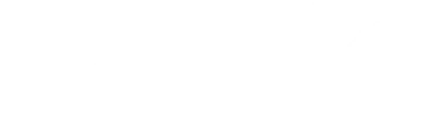 Asset