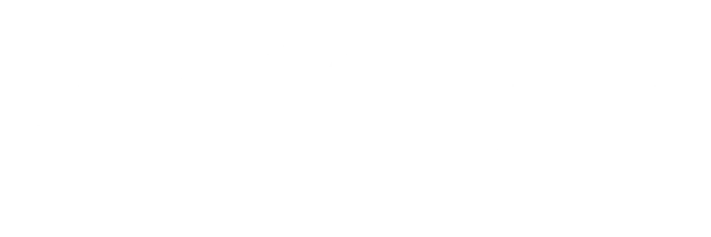 Asset